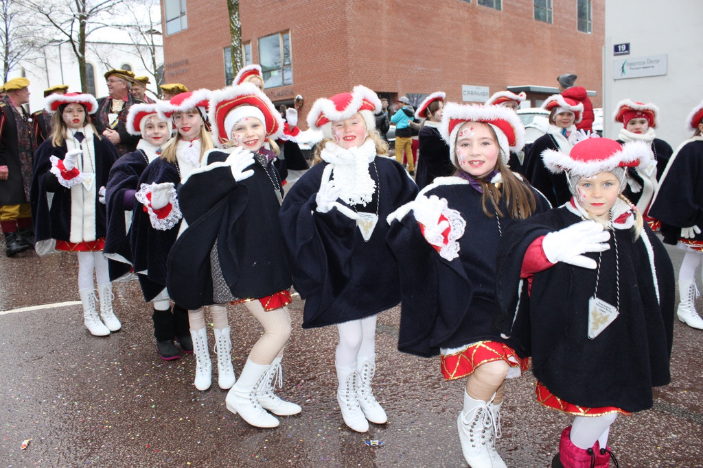 H__rbranzer Faschingsumzug 2013 _8__jpg-1360240491