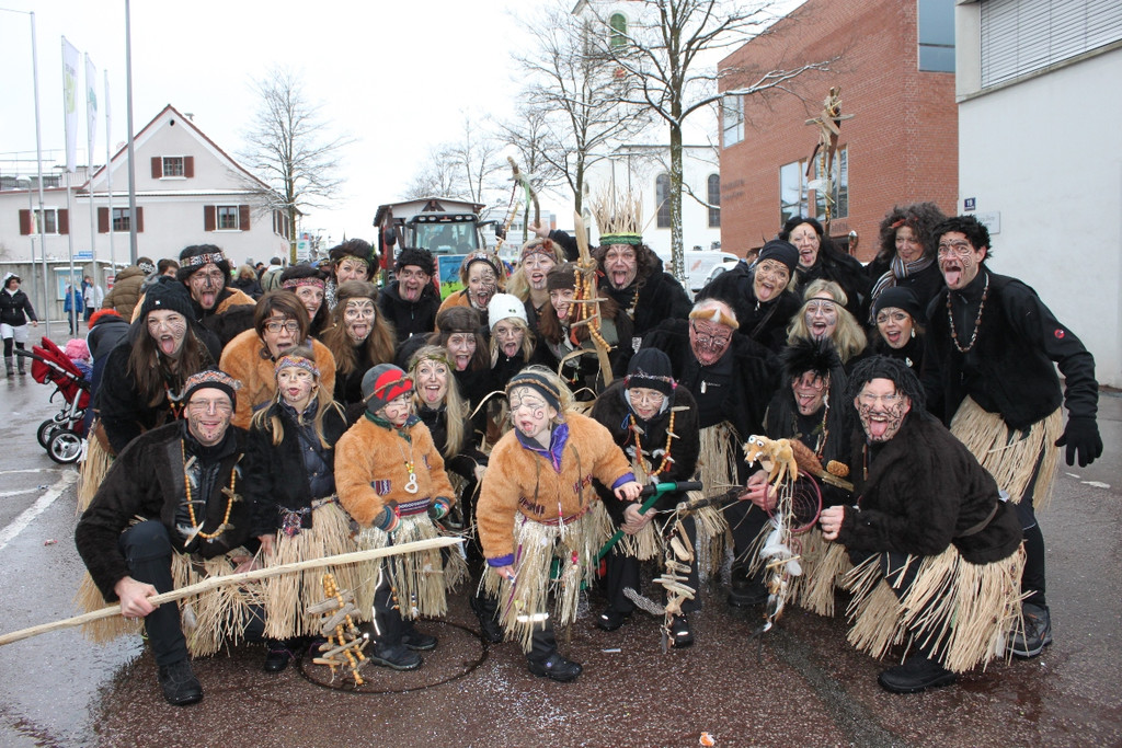 H__rbranzer Faschingsumzug 2013 _12__jpg-1360240516