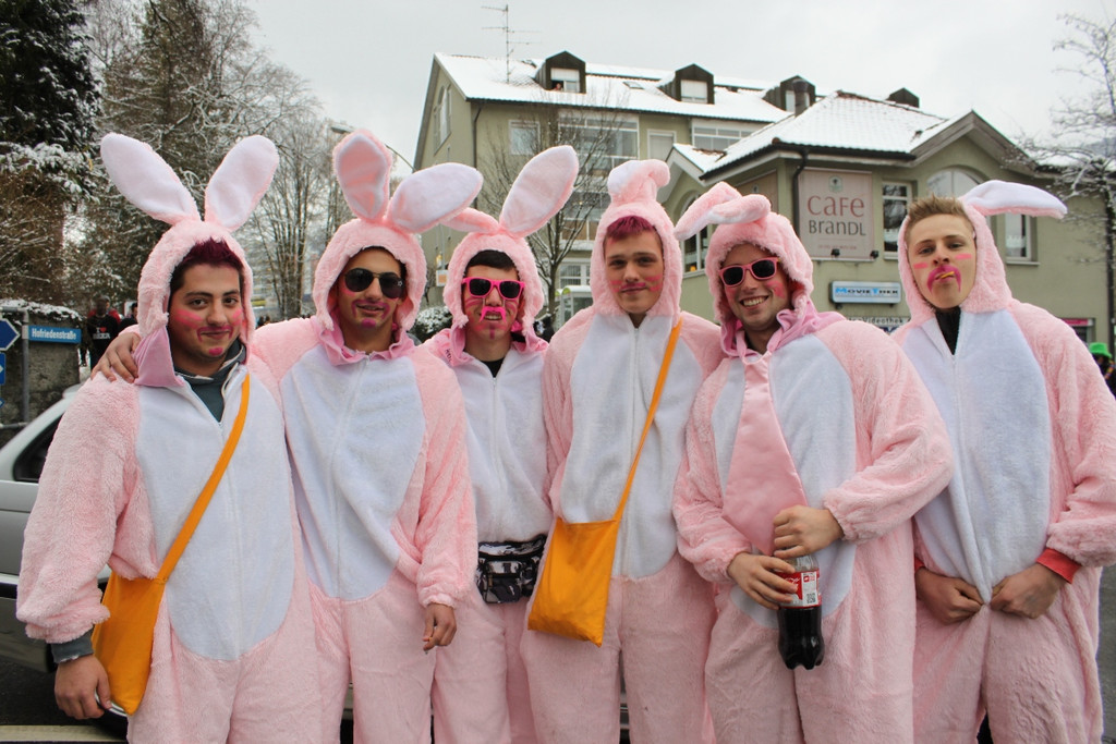 H__rbranzer Faschingsumzug 2013 _3__jpg-1360240459