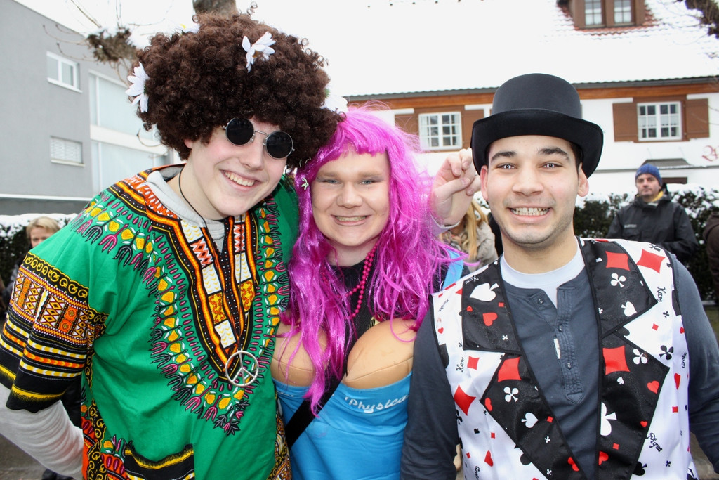 H__rbranzer Faschingsumzug 2013 _4__jpg-1360240464
