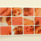 DSCN4401_JPG-1360242680