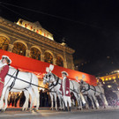 ABD0304-20130207.jpg