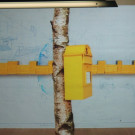 DSCN7139_JPG-1360275176