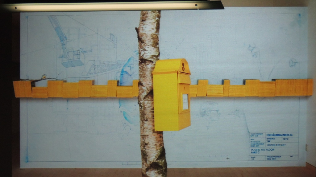 DSCN7139_JPG-1360275176