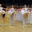 ABD0329-20130207.jpg