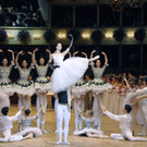 ABD0335-20130207.jpg