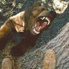 breathtakingpictures_shit_happens_part_13.jpg