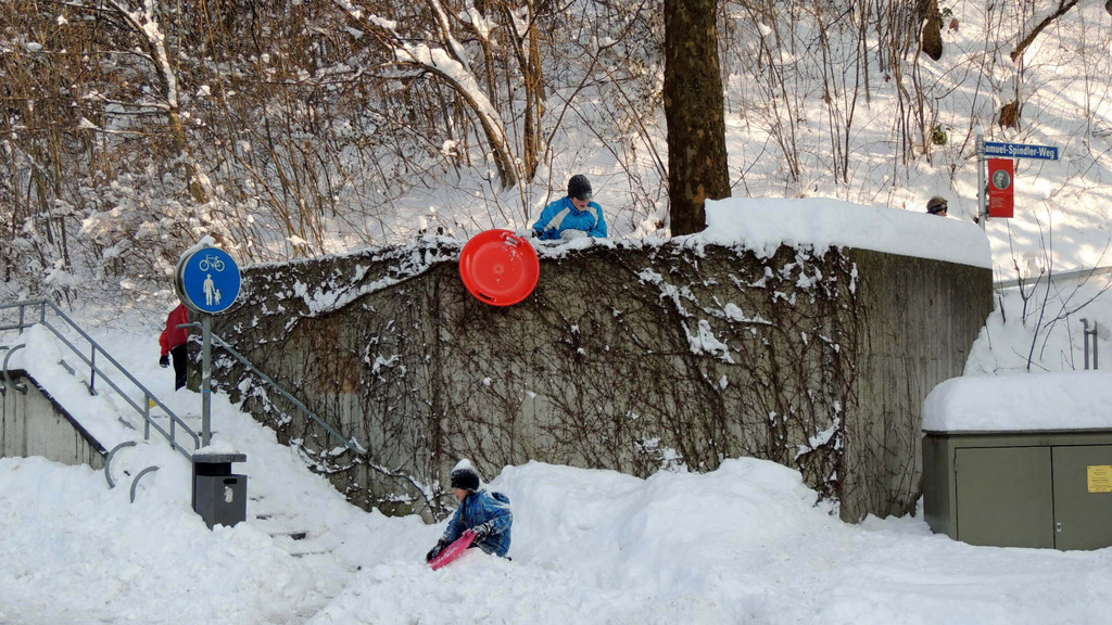 DSCN4225_JPG-1360277866