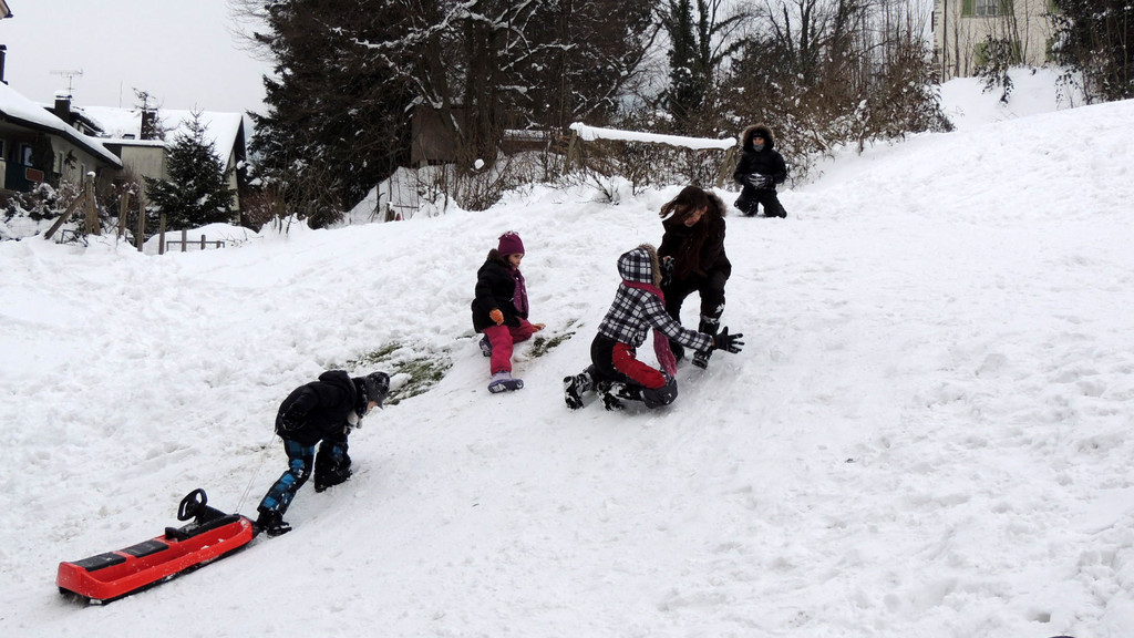 DSCN5585_JPG-1360277884