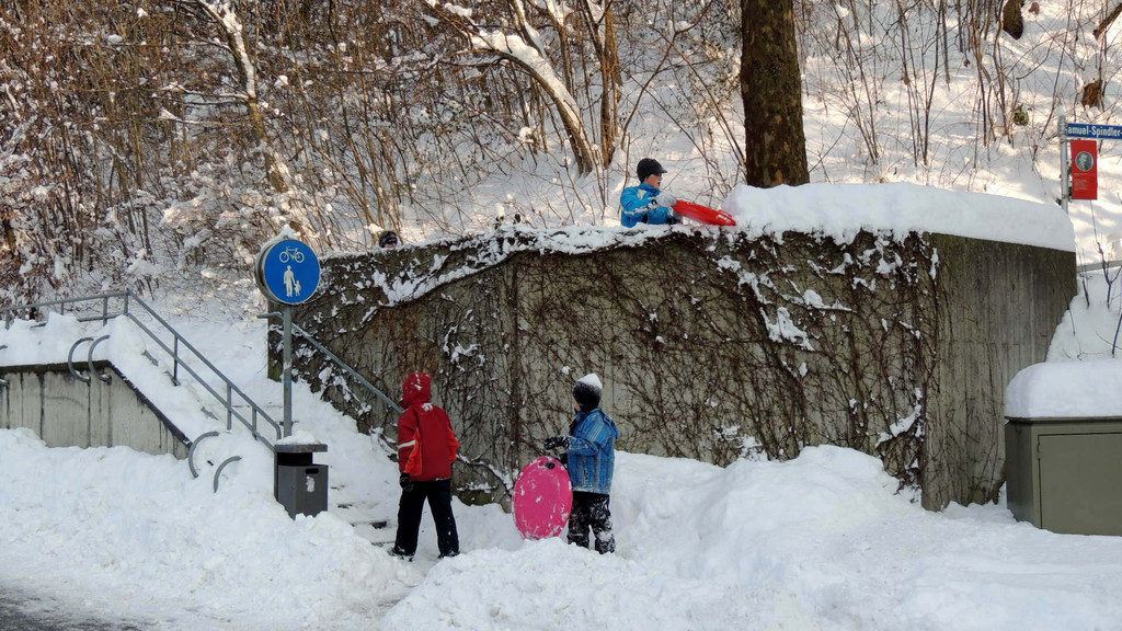 DSCN4224_JPG-1360277863