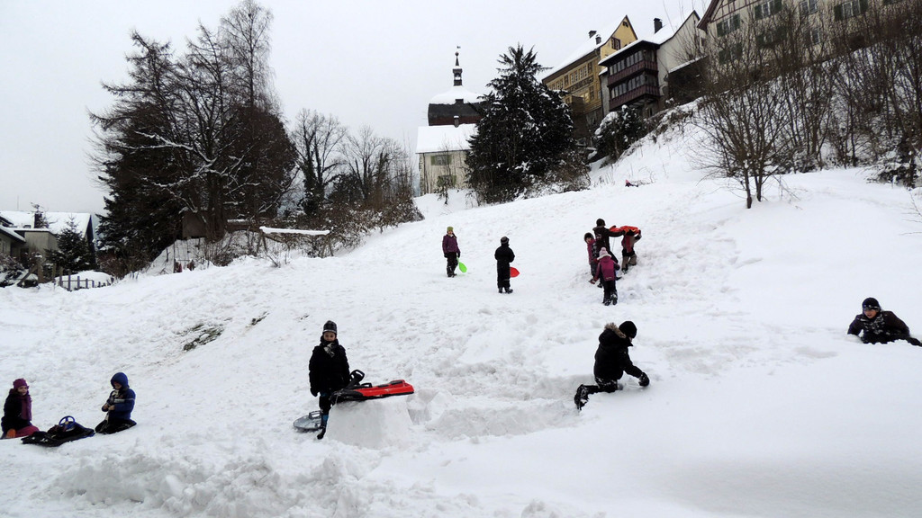 DSCN5606_JPG-1360277888