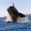 breathtakingpictures_shit_happens_part_20.jpg