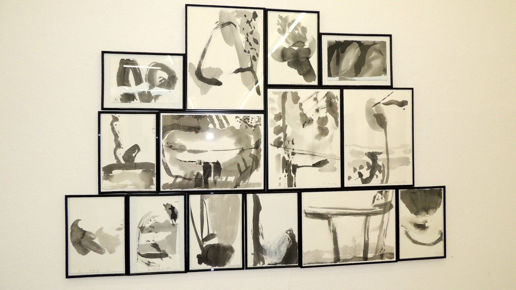 DSCN4365_JPG-1360279155