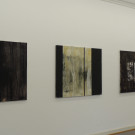 DSCN4366_JPG-1360279159