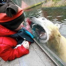 breathtakingpictures_shit_happens_part_26.jpg