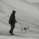 DSCN7428_JPG-1360280537