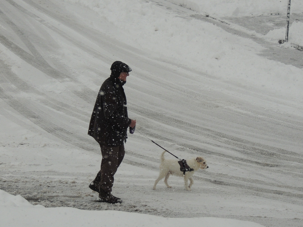 DSCN7428_JPG-1360280537