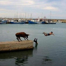 breathtakingpictures_shit_happens_part_27.jpg