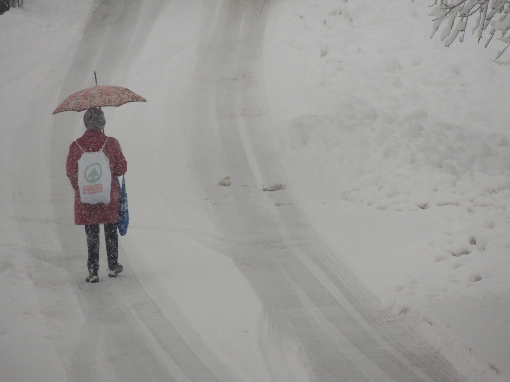 DSCN7375_JPG-1360280501