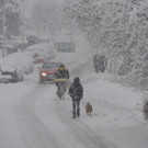 DSCN7445_JPG-1360280541