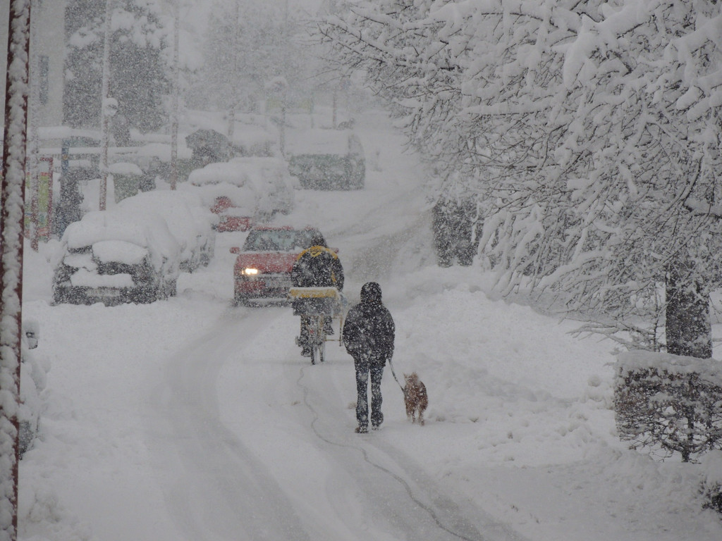 DSCN7445_JPG-1360280541