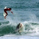 breathtakingpictures_shit_happens_part_28.jpg