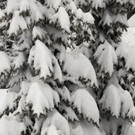BK_Wintermaerchen_Boedele 9_jpg-1360320336