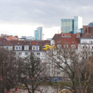 DSC_1437.JPG