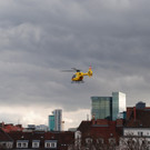 DSC_1441.JPG