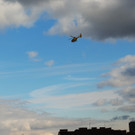 DSC_1445.JPG