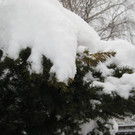 Winterimpressionen