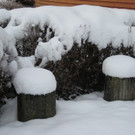 WinterMaeder13.JPG