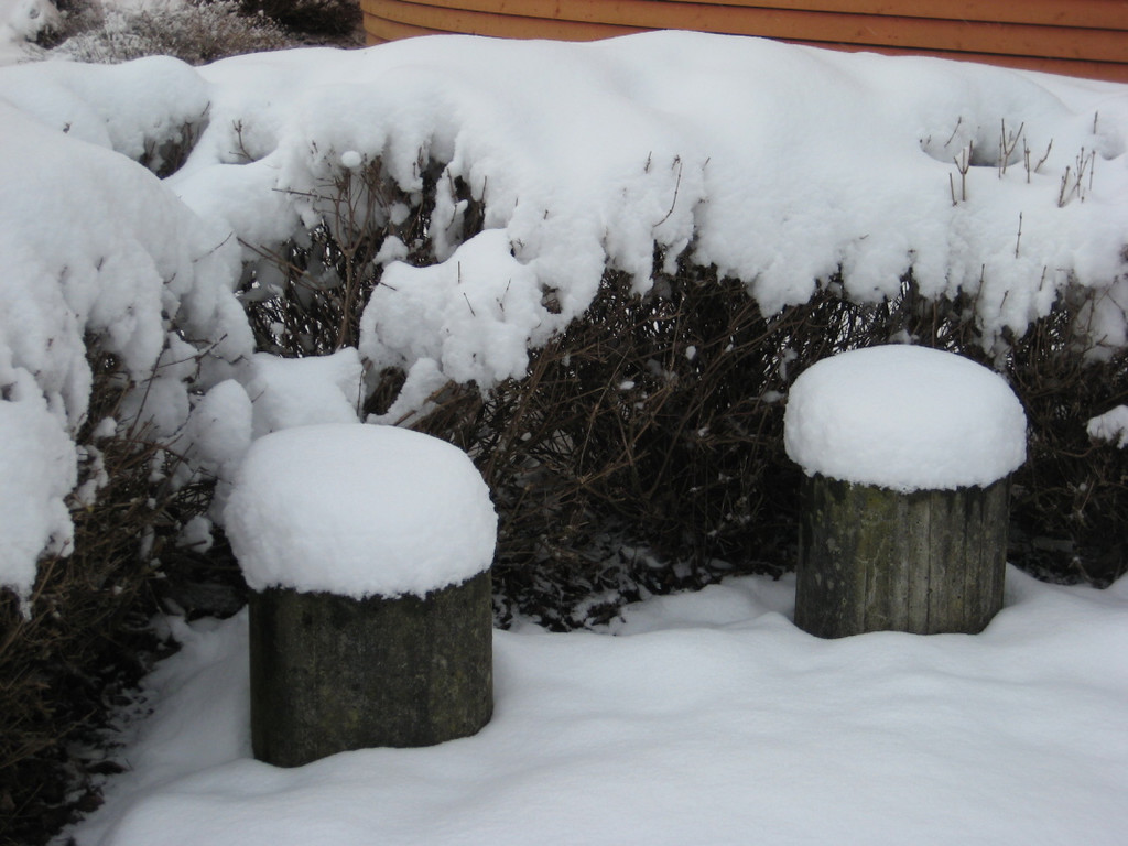 WinterMaeder13.JPG
