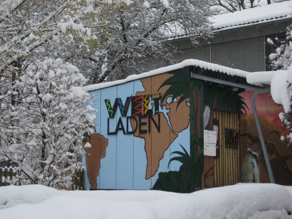WinterMaeder17.JPG