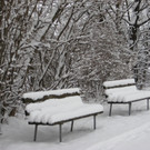 WinterMaeder20.JPG