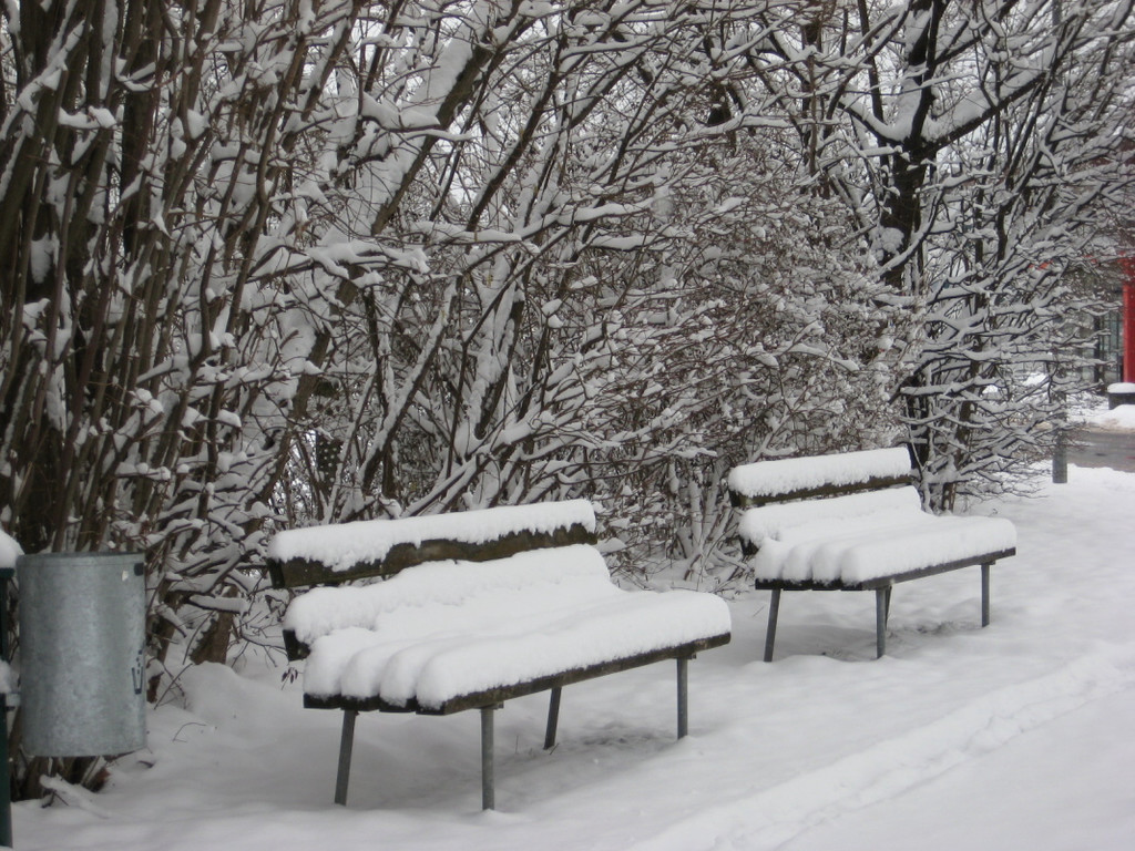WinterMaeder20.JPG