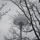WinterMaeder26.JPG