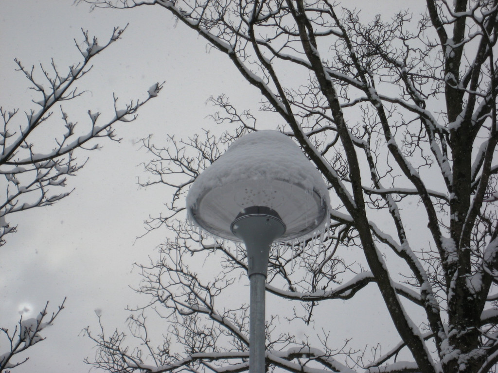 WinterMaeder26.JPG