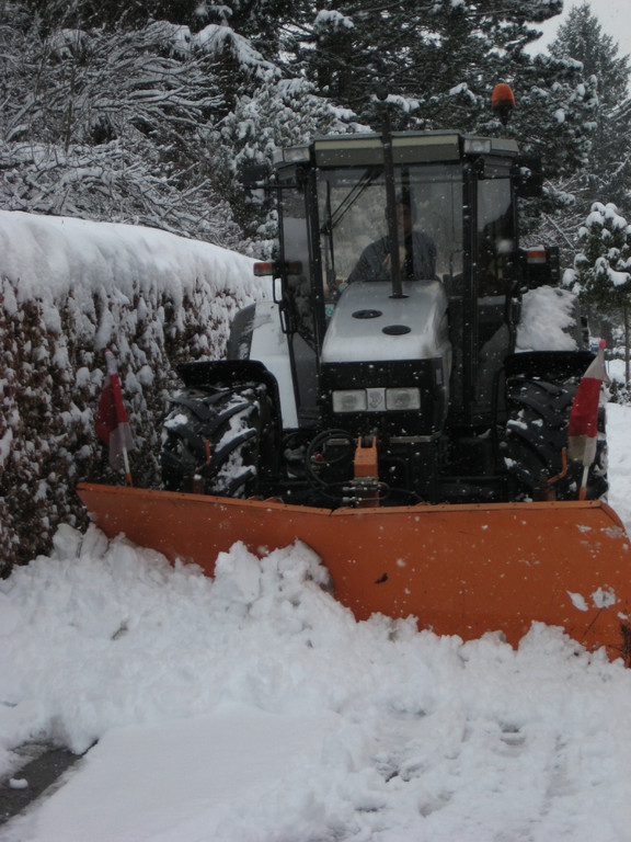 WinterMaeder33.JPG