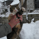 WinterMaeder50.JPG