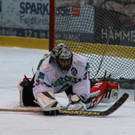 IMG_6020_jpg-1360403782
