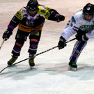 IMG_6031_jpg-1360403836