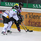 IMG_6040_jpg-1360403851