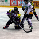 IMG_5865_jpg-1360404593