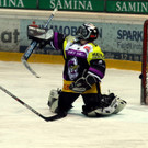 IMG_5931_jpg-1360404690