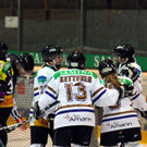 IMG_5938_jpg-1360404747