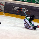 IMG_5980_jpg-1360404774