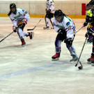 IMG_6086_jpg-1360405026