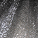 CD8R9457.jpg