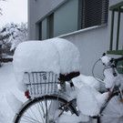 Winterimpressionen aus Lochau am Bodensee